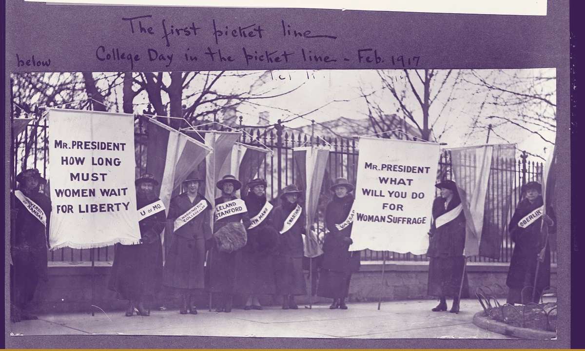 Women standing at the White House fence holding lettered banners.